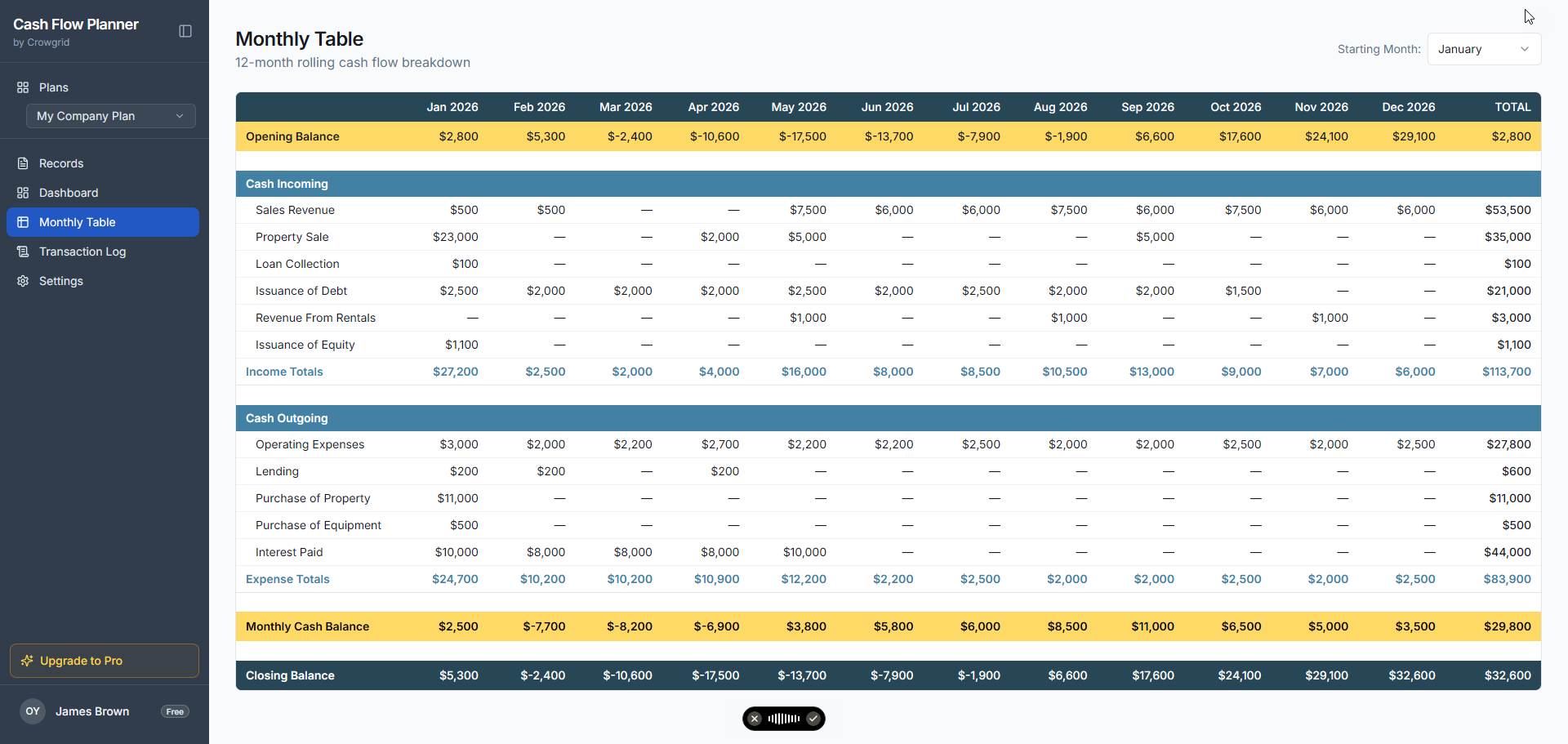 Monthly Table view showing a 12-month rolling breakdown of cash incoming and outgoing